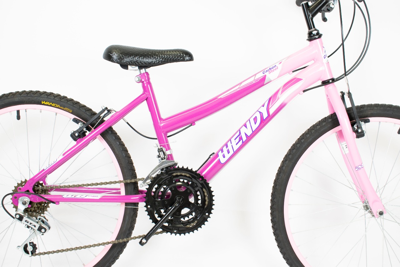 Bike Mtb Feminina Wendy Rosa Aro 26